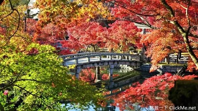 亚洲国家《最佳旅游时间表》 没想到日本一年四季都可去