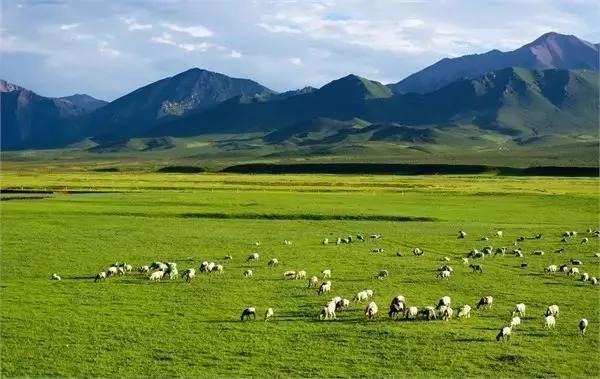 中国最美5大草原 总有一个你想去的