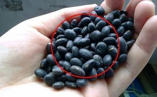 女生如果不想变老 常吃【这抗衰老的食物】把毒素排出来 让你童颜一辈子!