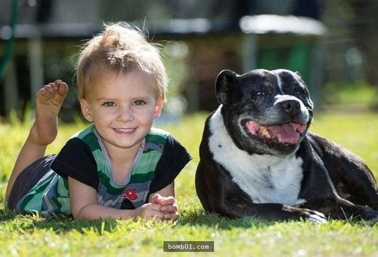 比特犬突然失控闯进房内吠叫 主人跟着跑出去后竟然看到儿子…