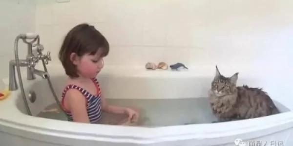 一只不平凡的猫咪!它治愈了一位自闭症女孩 温馨的画面感动了成千上万人!