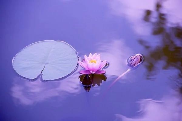 风水先生看到他这样做“道破天机” 你家的风水选哪里都会好