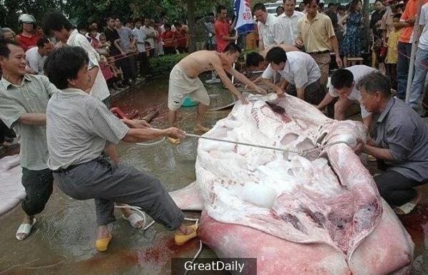 水库时常有人游水溺死 后来才发现惊天的秘密…