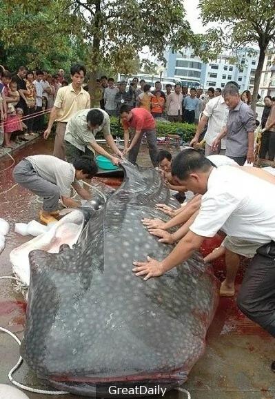 水库时常有人游水溺死 后来才发现惊天的秘密…