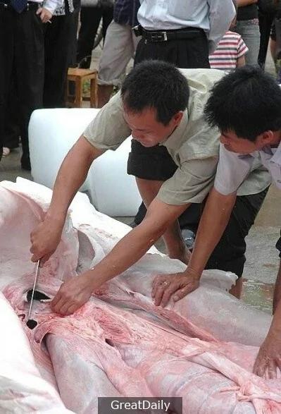 水库时常有人游水溺死 后来才发现惊天的秘密…