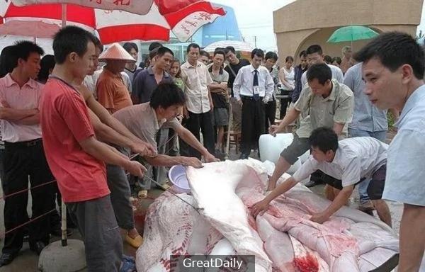 水库时常有人游水溺死 后来才发现惊天的秘密…
