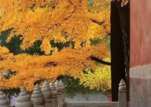 深度好文:天欲其亡 必让其狂
