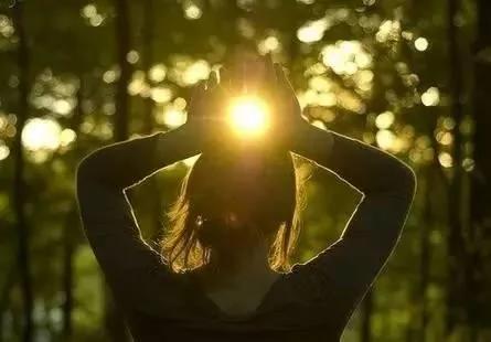 一则来自英国的心理测试:树上有21个小黄人 选你最想待的位置!太准了!