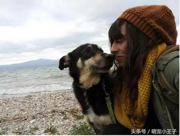“石头”街头流浪五年 被救助两个月后 可爱的模样让人感到暖心!