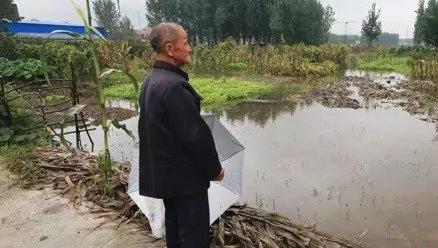 湖北爷辛苦养孙上复旦 14年后“病逝儿”竟复活