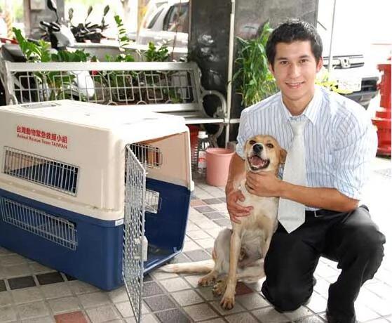 流浪狗一家遭毒害 仅存一只幼犬依偎墙角 被外国老师相助后 竟然变成这样了