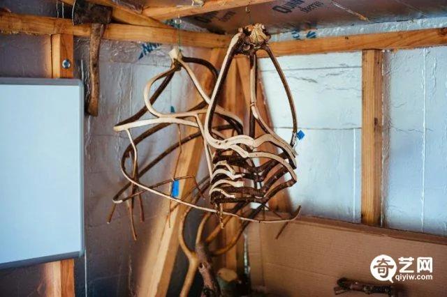 英国夫妻在深山种 “椅子” 价值三万元