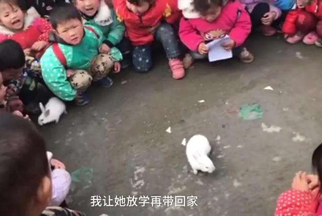 小孩书包里藏了一只小狗狗 老师知道原因后也哭了!