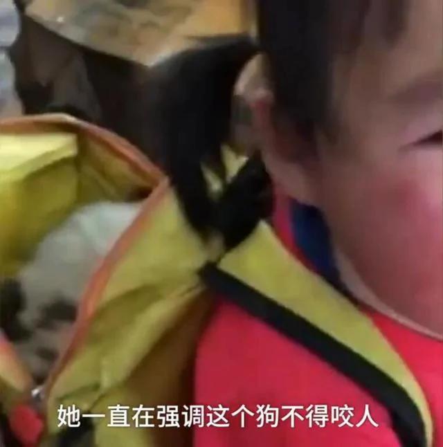 小孩书包里藏了一只小狗狗 老师知道原因后也哭了!