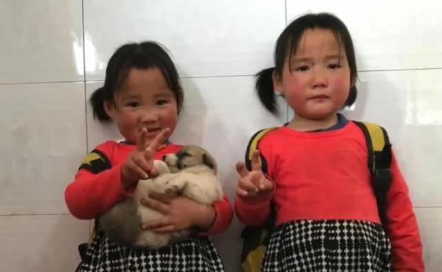 小孩书包里藏了一只小狗狗 老师知道原因后也哭了!