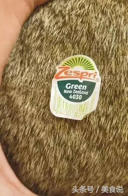 主人一直玩电脑不陪它玩 没想到喵喵最后火大的举动….真的让人笑到歪腰!