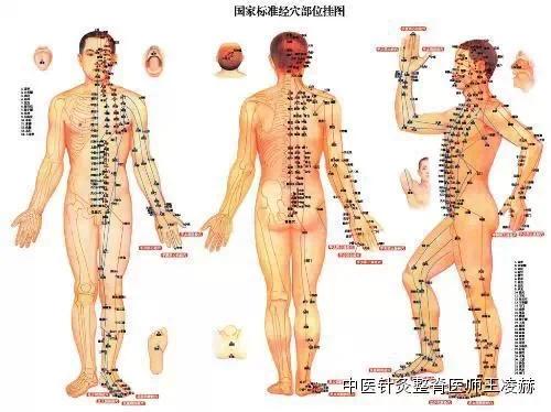经络主宰人体健康 经络不通有何症状及表现?