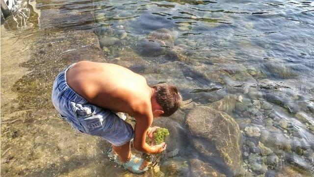 风景不输桂林 还能摸鱼游泳!车子水上漂!