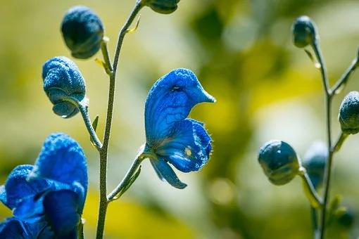 清除居家负能量 转变运势就这么简单