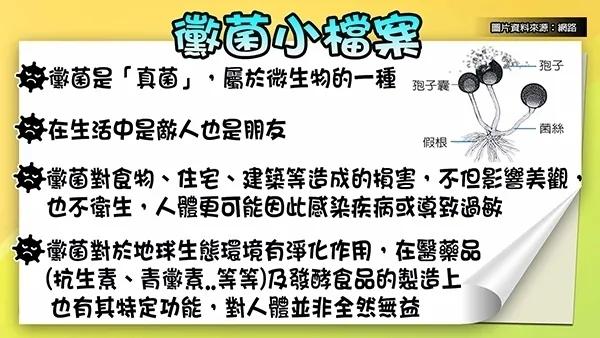洗头不吹、牙刷不换惊成“菌星人”!盘点家中最易生霉的“十五个角落”