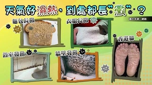 洗头不吹、牙刷不换惊成“菌星人”!盘点家中最易生霉的“十五个角落”