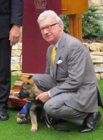 小警犬解除职务 开除原因竟然是…网友笑喷!