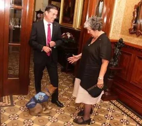 小警犬解除职务 开除原因竟然是…网友笑喷!