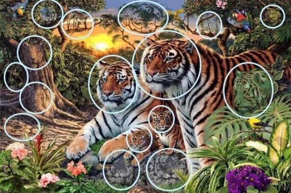 绝对考眼力+想象力的一幅图:画中共有几只老虎