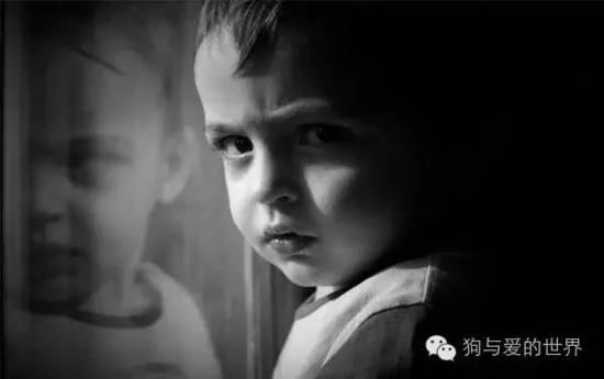 小主人有“自闭症” 没想到家里的狗狗居然这样做…