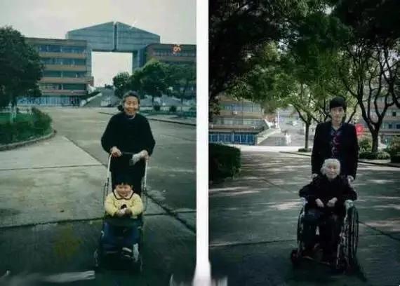 2017年最感动朋友圈的24张图 你看到第几张哭了?