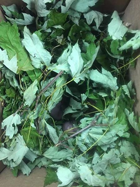 机械师打开送修警车 车轮后藏着意想不到的惊喜!