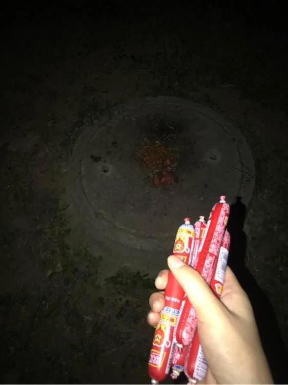 女孩捡回一只流浪英短蓝猫 照顾数月 却被前主人找上门来!