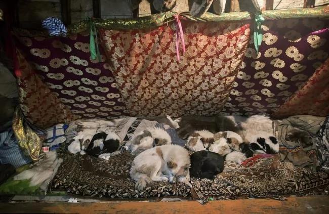 揭秘:世界边缘的西伯利亚人是这样生活的
