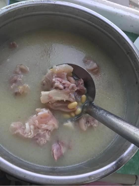 泰迪超预产期三天 剖腹产后 狗狗却给主人带来大惊喜!