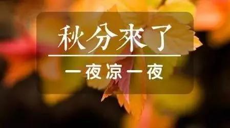 秋分小心5大疾病找上门 养生记住345黄金原则 帮你度过多病之秋!