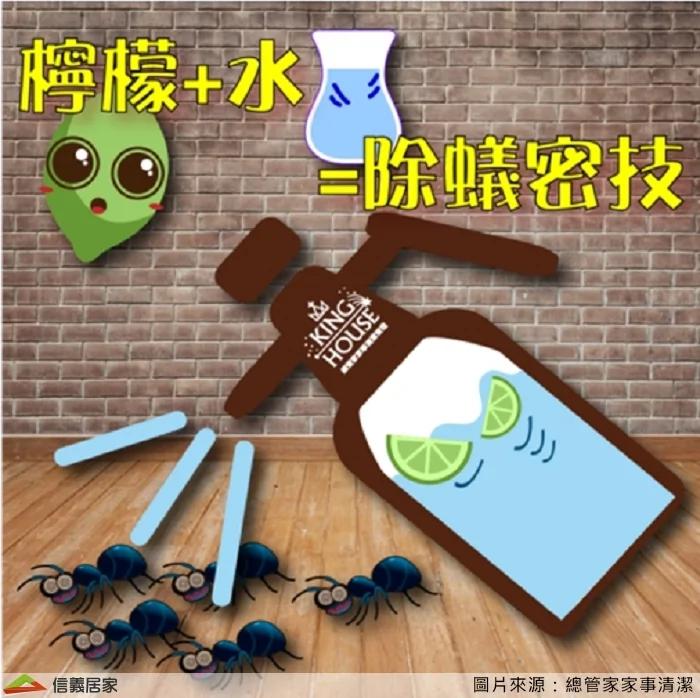 蔬果兵团vs虫虫大军.天然驱虫招式大公开