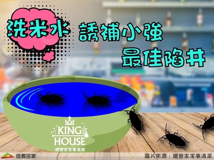 蔬果兵团vs虫虫大军.天然驱虫招式大公开