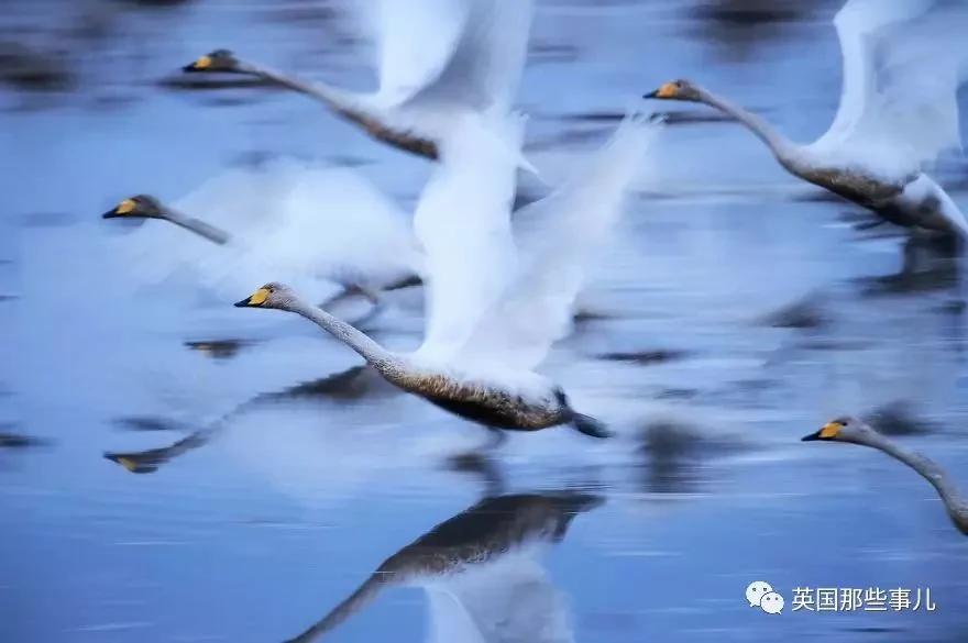 《国家地理》评选出2017年度最佳旅游照片 来看看