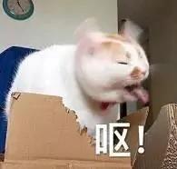 高能预警!香蕉和枣 这两种食物千万不要一起吃