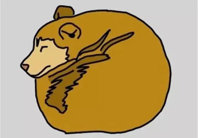 狗狗的睡姿居然还有这样的秘密