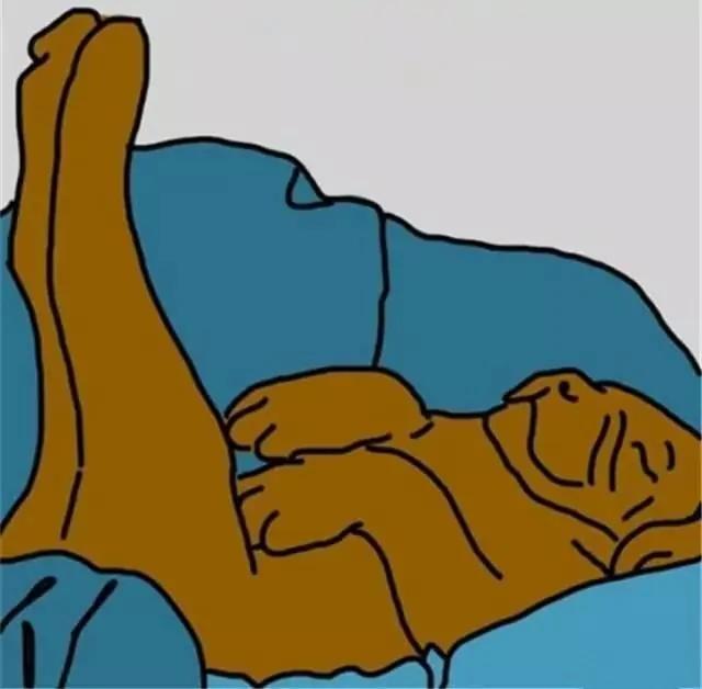 狗狗的睡姿居然还有这样的秘密