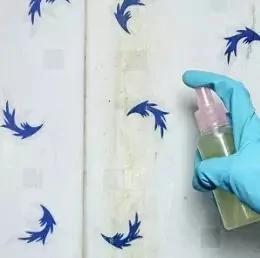 9种好用又省钱的柠檬清洁法 精明主妇必备