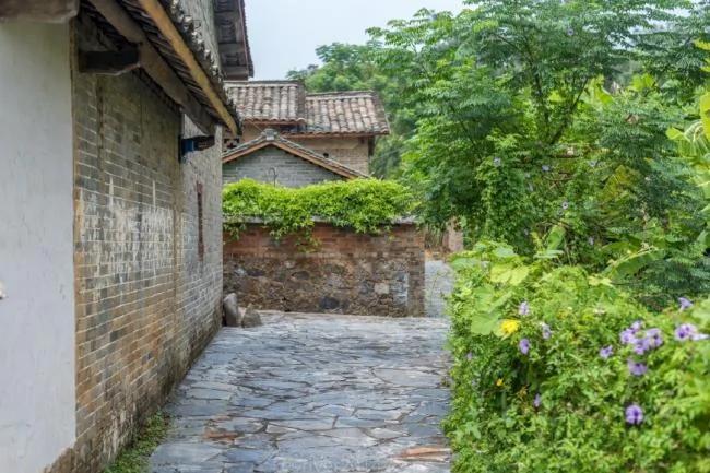 广西这座300年的古村 靠簸箕粉征服了城里人