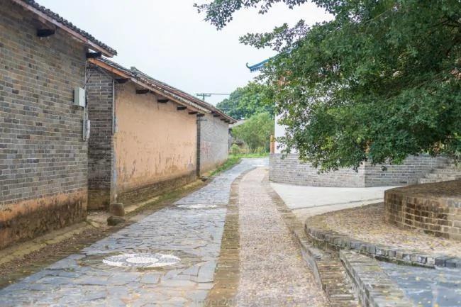 广西这座300年的古村 靠簸箕粉征服了城里人
