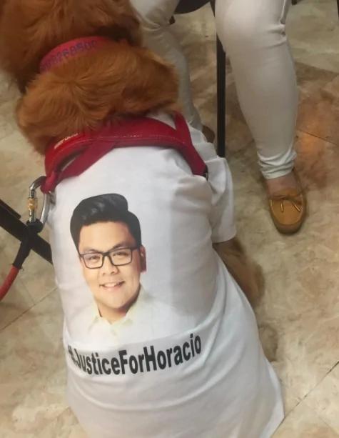 金毛忠犬失主人夜晚悲哭 扶棺守灵数日不肯离去!