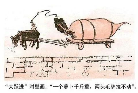 记饿—“大跃进”余波亲历记