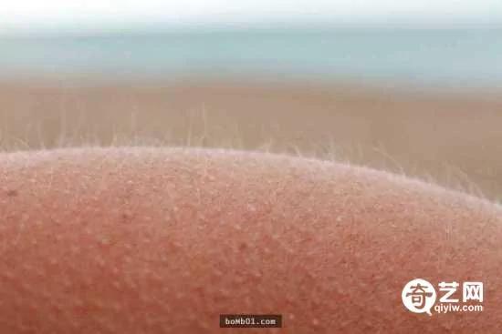 一起来探索身体的秘密 发现这26个鲜为人知的冷知识