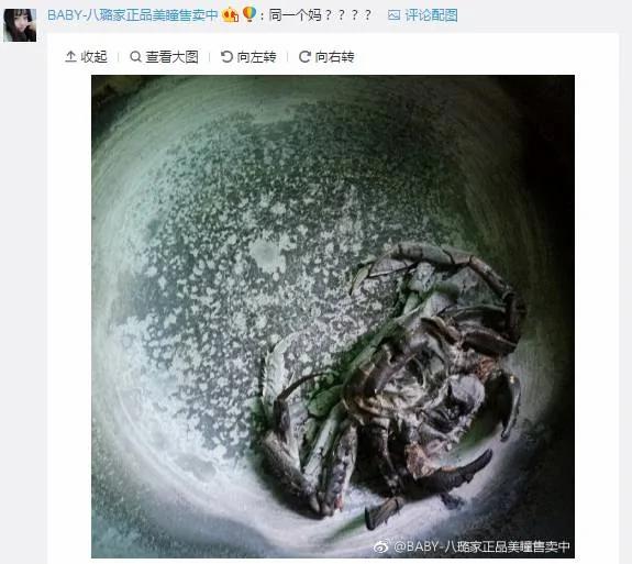 博主晒出母亲烧黑大闸蟹图片 网友纷纷晒出同款