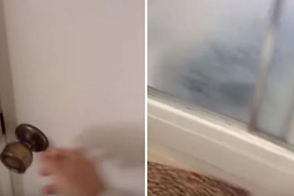 听到楼上浴室有水声 意外看到超可爱一幕!