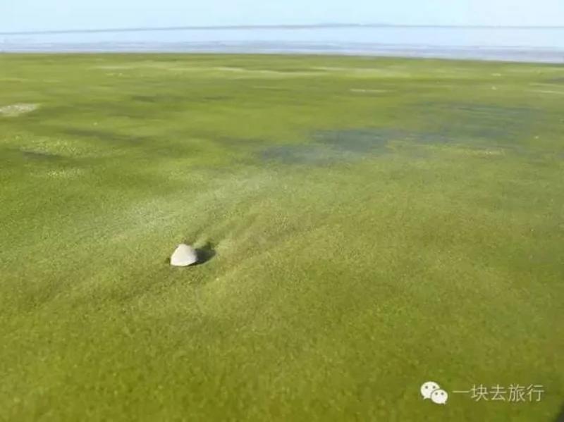 世界上最奇美的17个海滩 去过3个算你厉害!